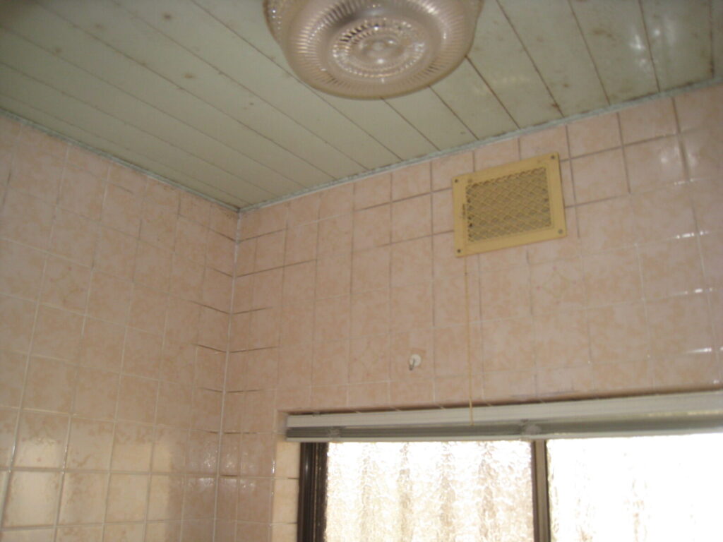 浴室天井、壁：パネル施工前