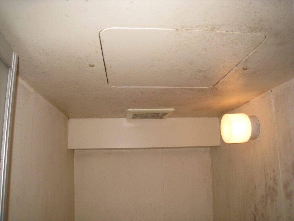 浴室天井と壁のパロアシート 施工前