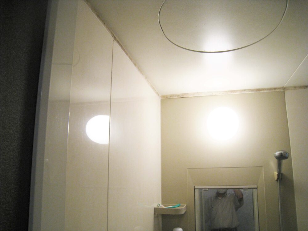 浴室の天井・壁 パロアシート施工工事(海南市)